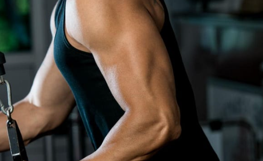  고중량 저반복 근비대 실험 과연 근성장에 좋을까?