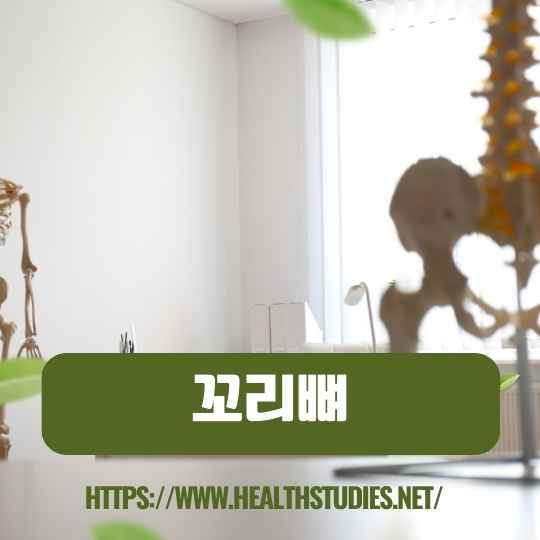 꼬리뼈 통증-사진-1