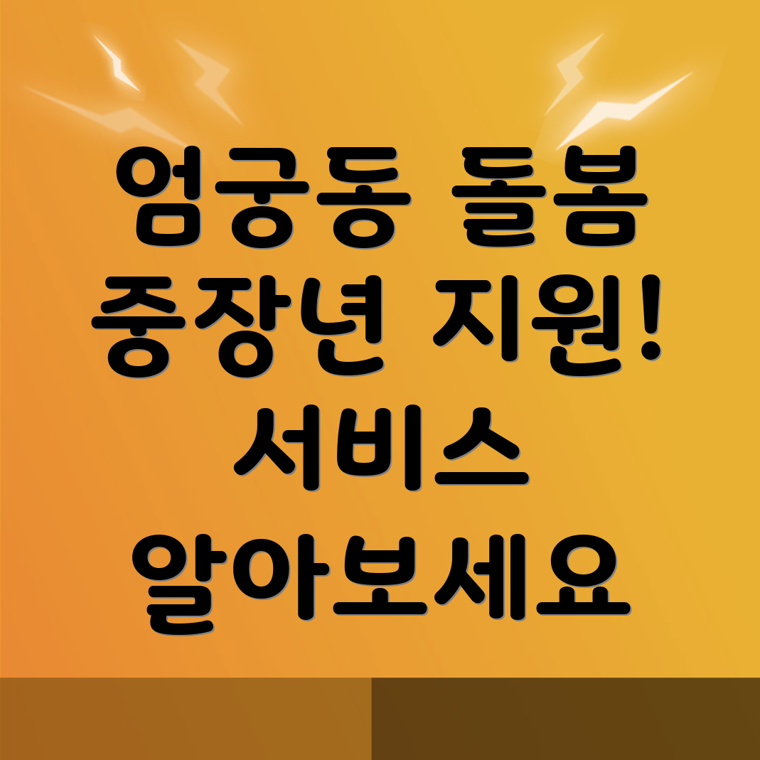 중장년 돌봄 서비스