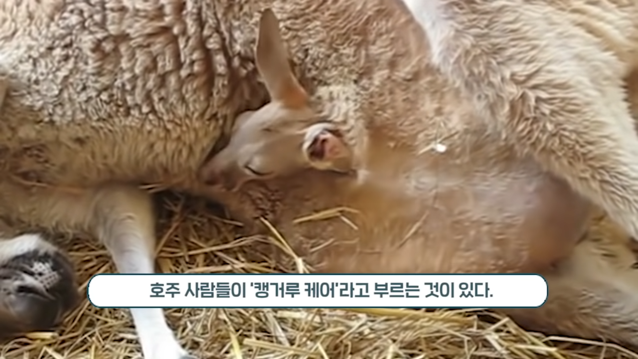 태어나자마자 사망 선고 받은 아기, 망연자실하며 아이를 끌어안자 놀라운 일이 일어나는데…