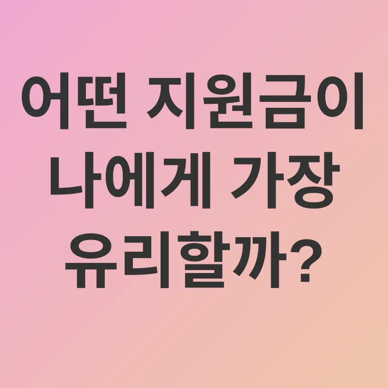정부지원금_2