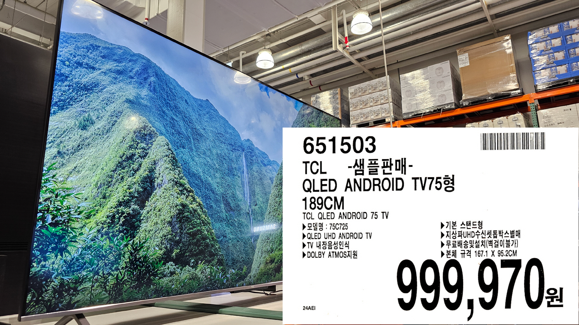 TCL QLED ANDROID 75 TV