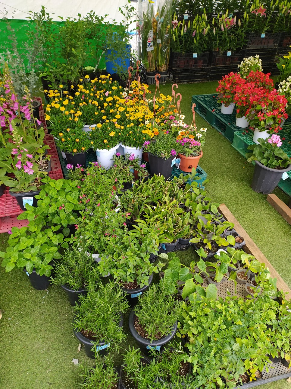 몽산포 물때표 태안 : 몽산포 물때표확인 14