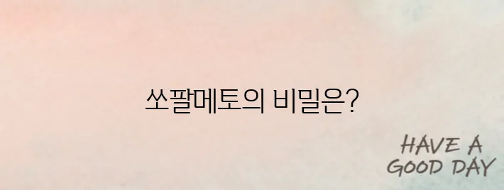 쏘팔메토의 효능 정리와 전립선 건강에 긍정적인 이유를 살펴봅시다.