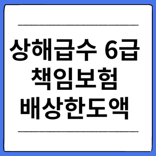 상해급수-6급-책임보험-배상한도액