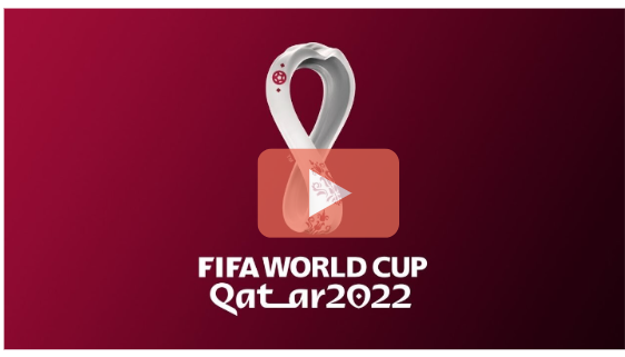 2022년 카타르월드컵