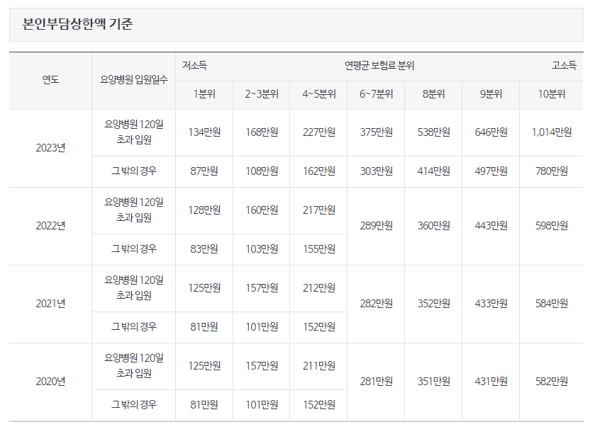 본인부담 초과 의료비 환급금 조회