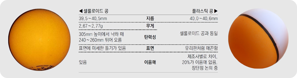 탁구의모든것6