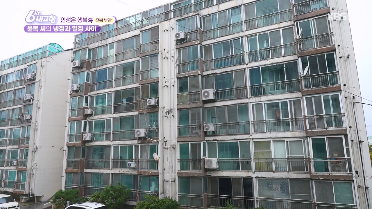 6시 내고향.E7888.230926p-NEXT.mp4_20230926_214727.657.jpg