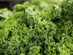 방광에 좋은 음식