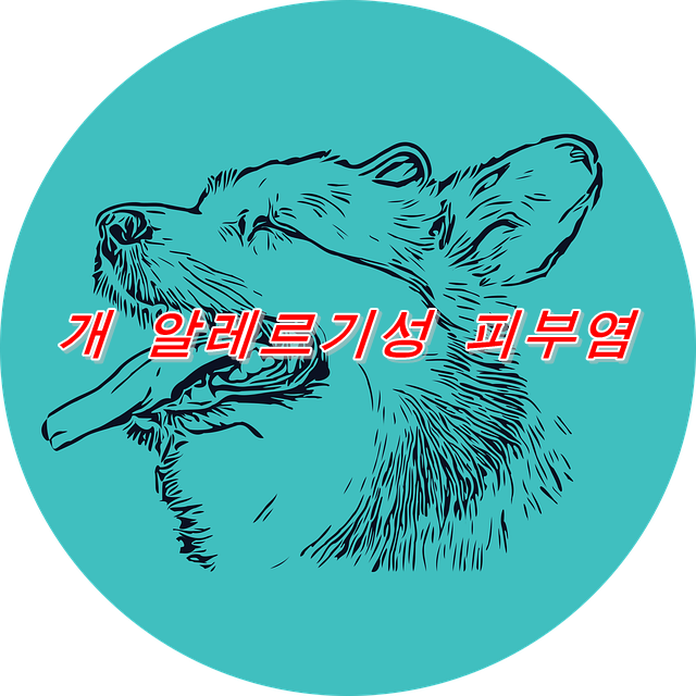  개 알레르기성 피부염