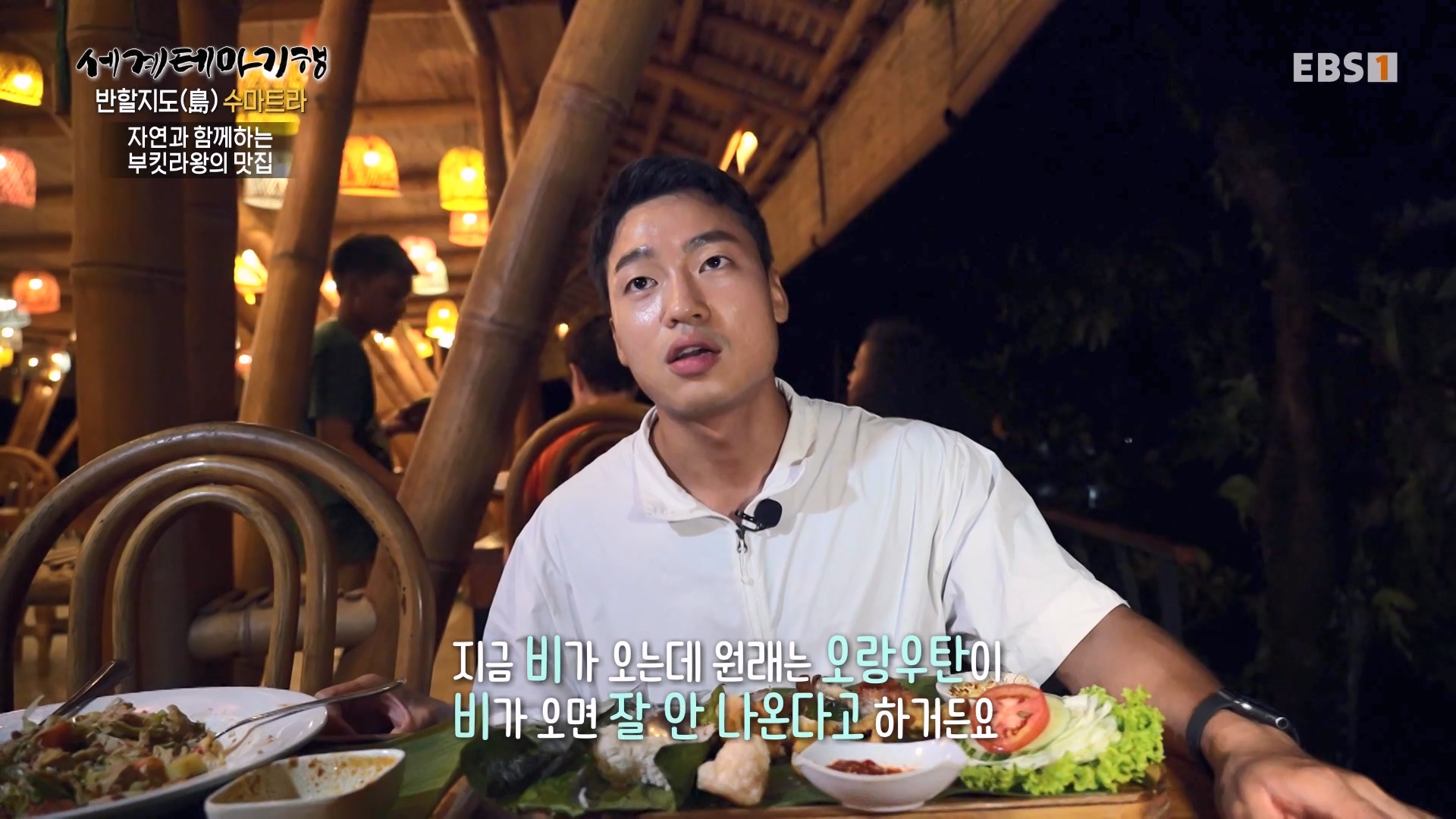 세계테마기행.230731.반할지도(島) 수마트라-1.북수마트라 제대로 즐기기.mp4_20230820_122425.462.jpg