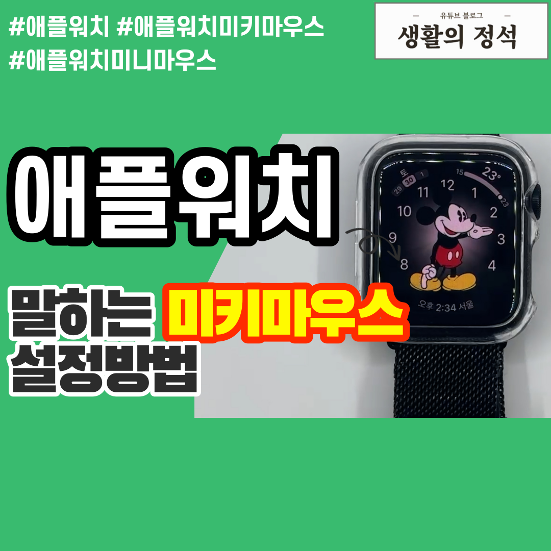 애플워치 미키마우스