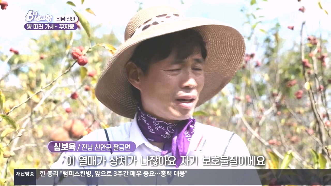6시 내고향.E7897.231025p.H264-F1RST.mp4_20231025_200412.385.jpg