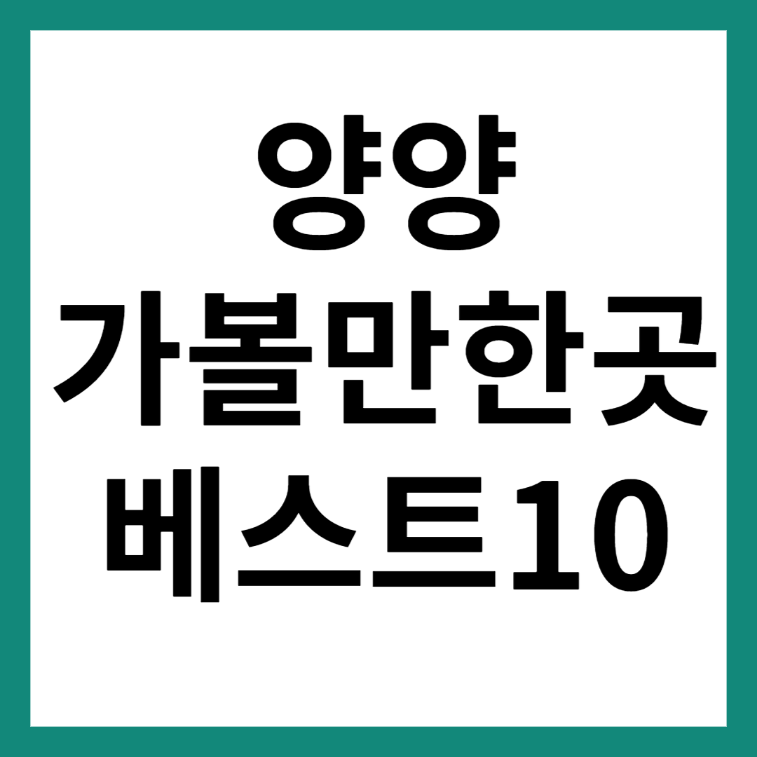 양양 가볼만한곳