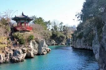 제주시볼거리 6월 제주도 여행 볼거리 제주시 볼거리 한라수목원 완벽 가이드_22
