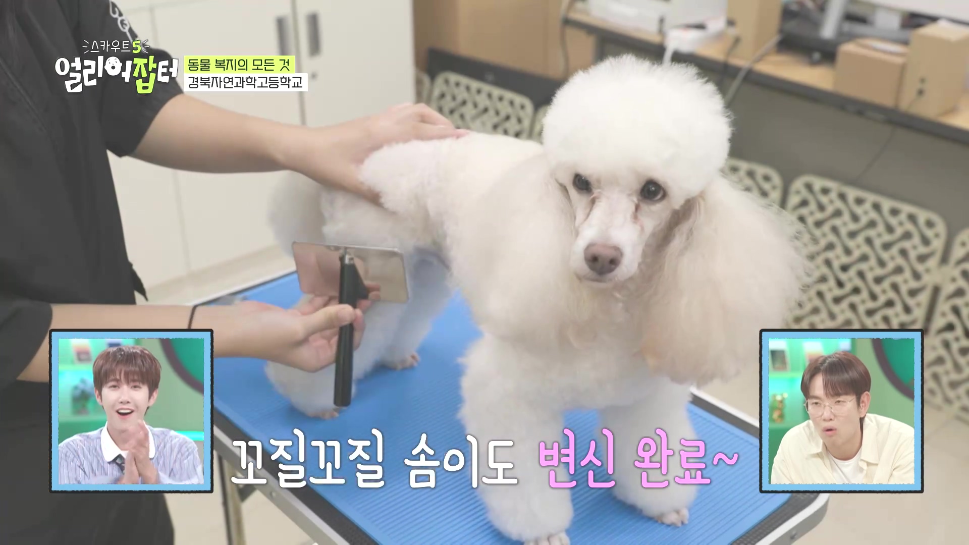 국내 대회 심사위원도 참여한 국제 대회에서 장려상 받은 고등학생 | 인스티즈