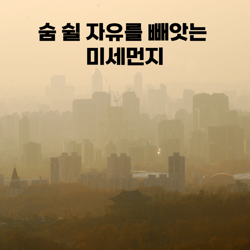 숨쉴자유를위협하는미세먼지