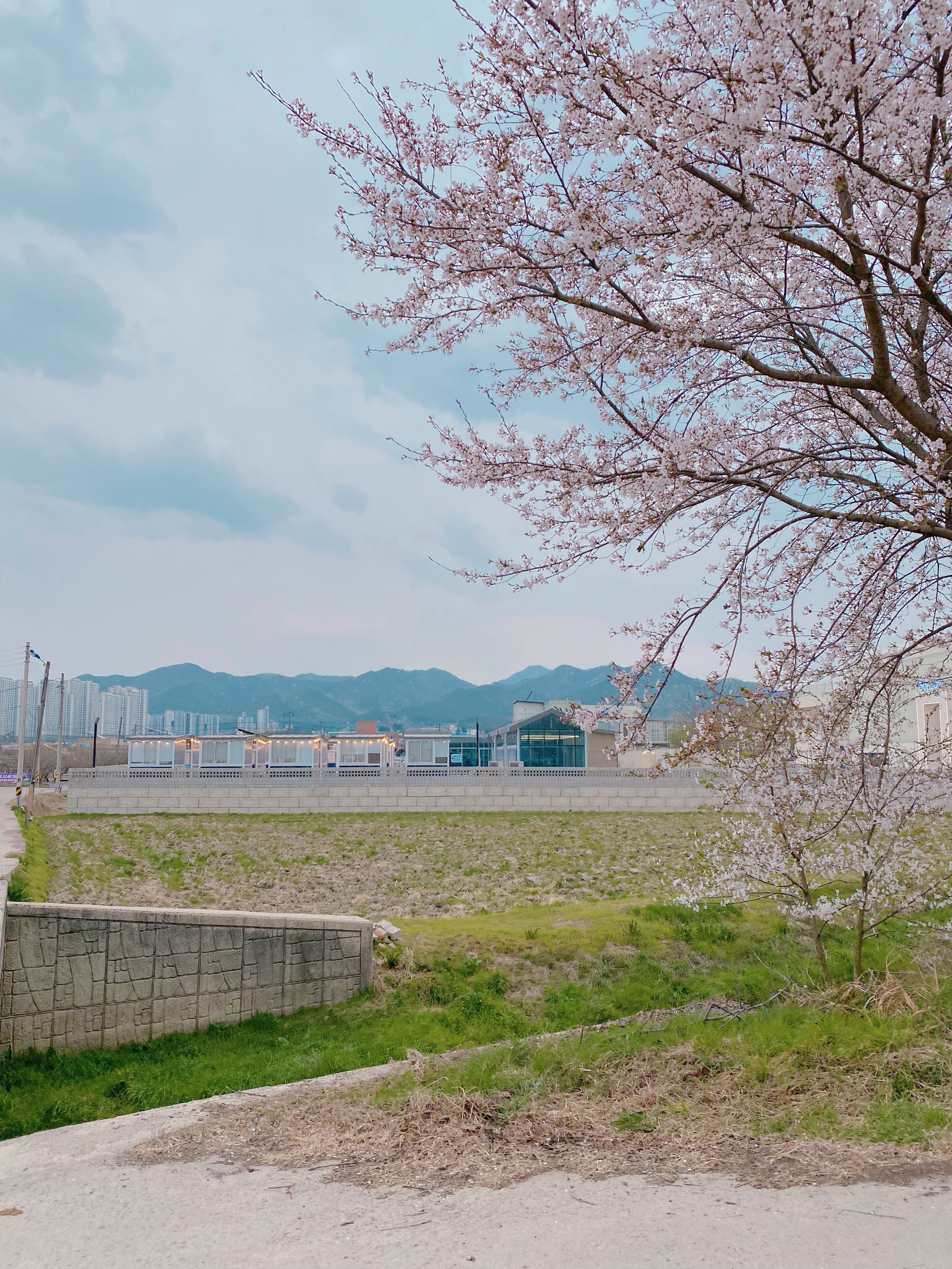 alt 태그