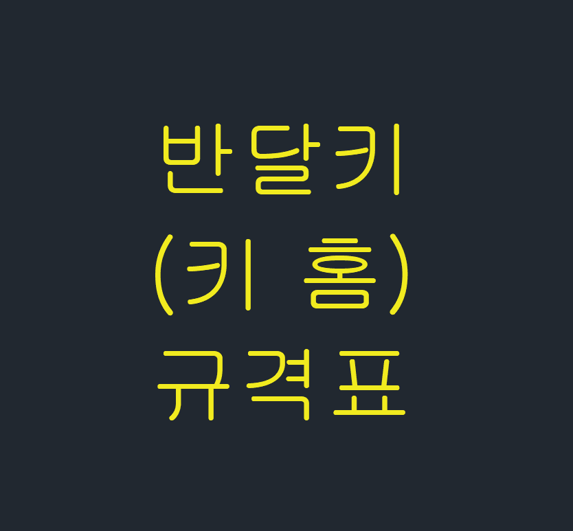  반달키(키 홈) 규격