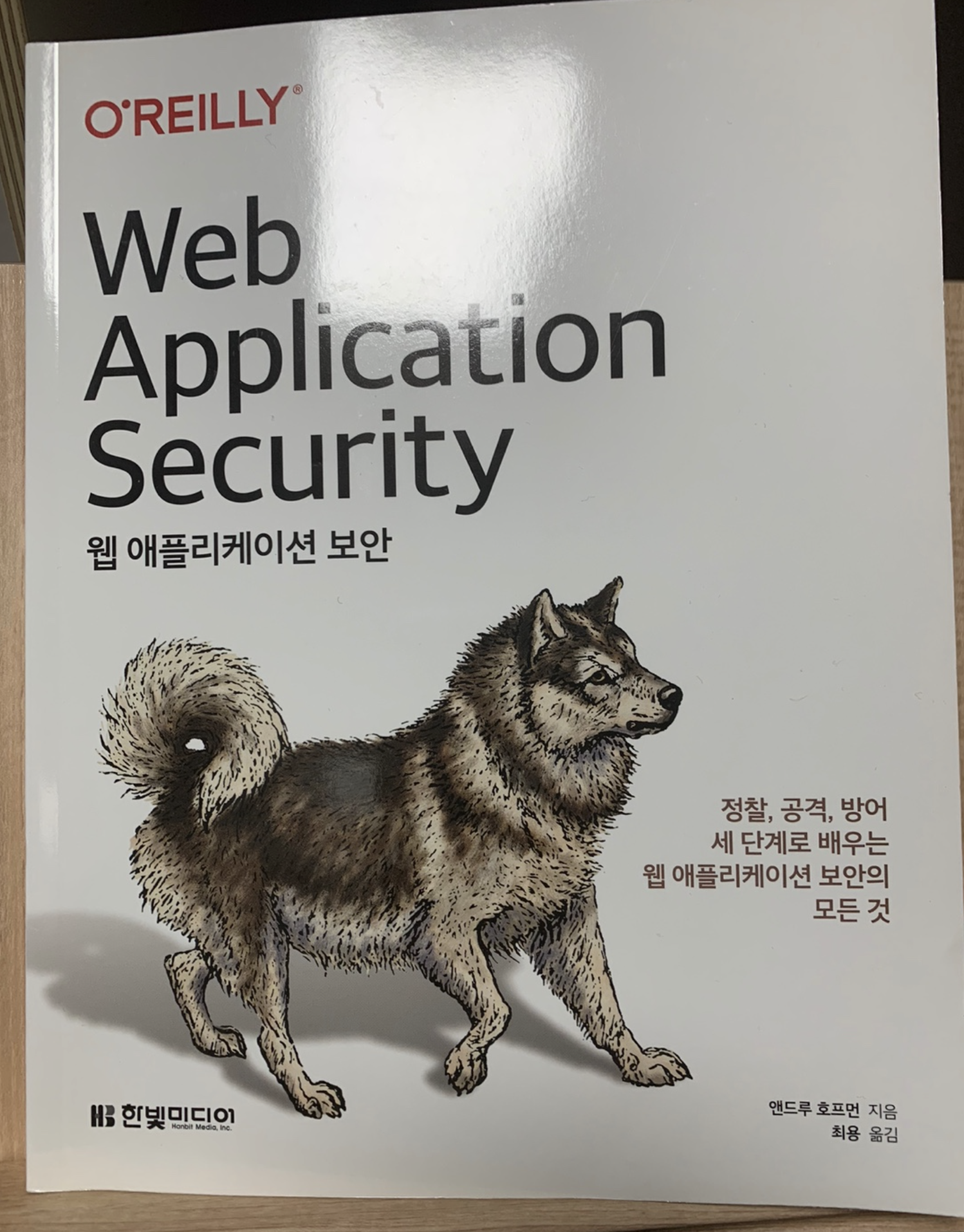  [책리뷰] Web Application Security_한빛미디어