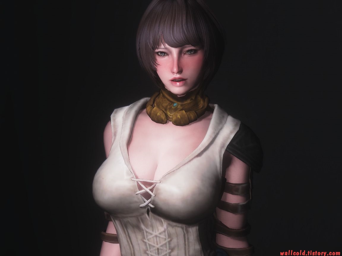 스카이림 의상 - 로그 의상 da 2 Isabela outfit clothes hdt skyrim mod 001