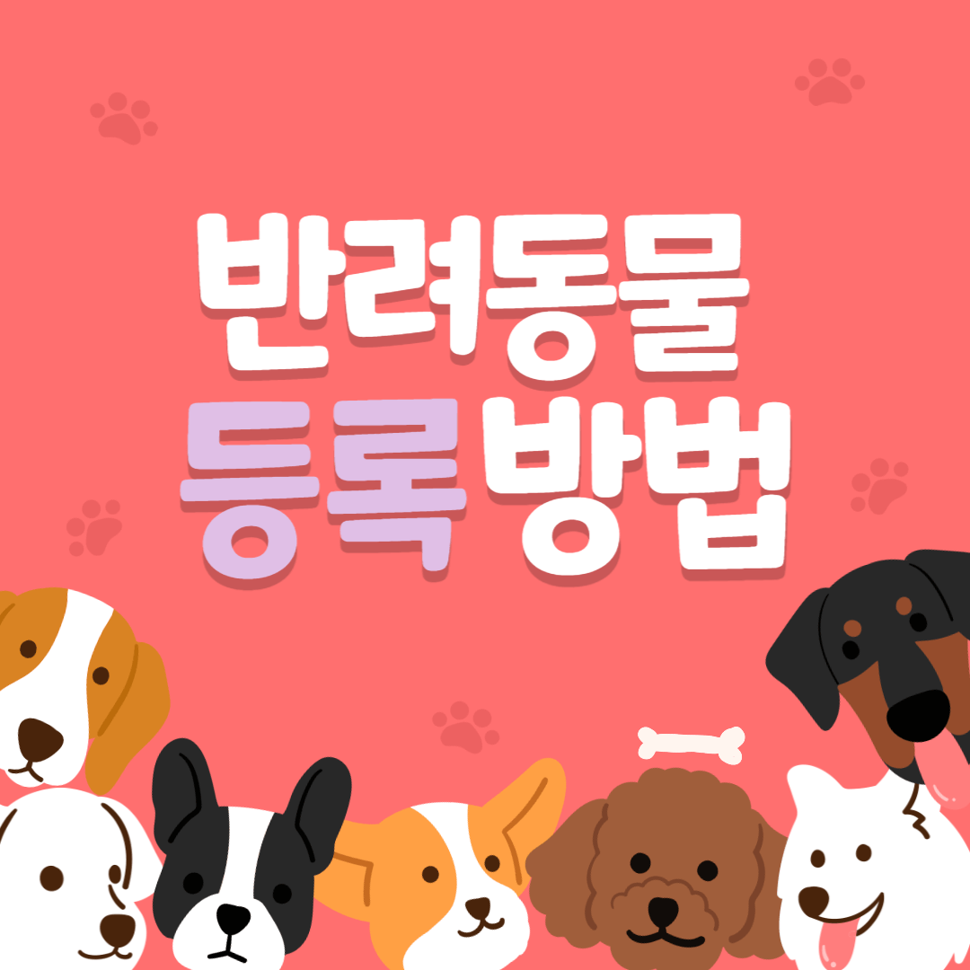  반려동물 등록하는 방법, 변경하는 방법 및 과태료(고양이는?)