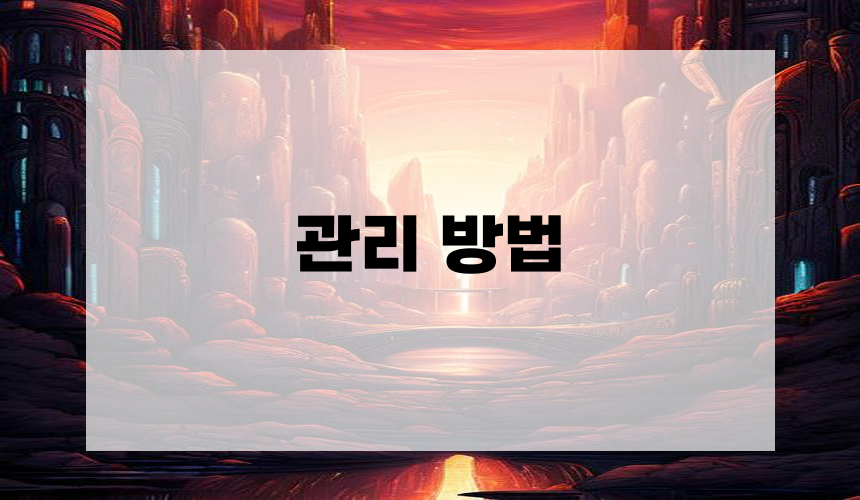 관리 방법