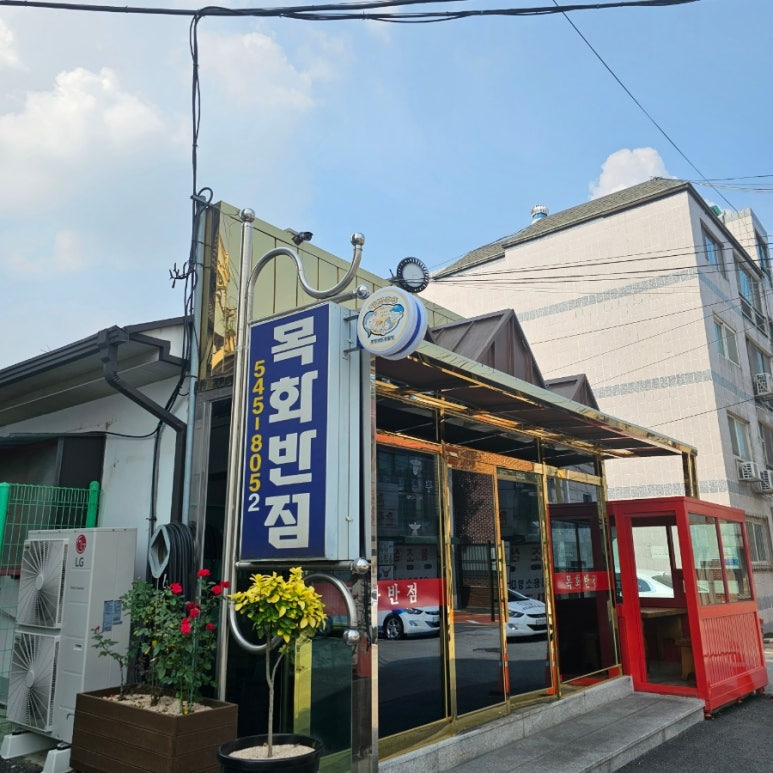 목화반점 이미지