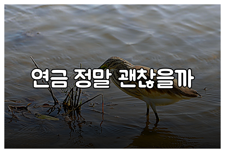 연금 정말 괜찮을까