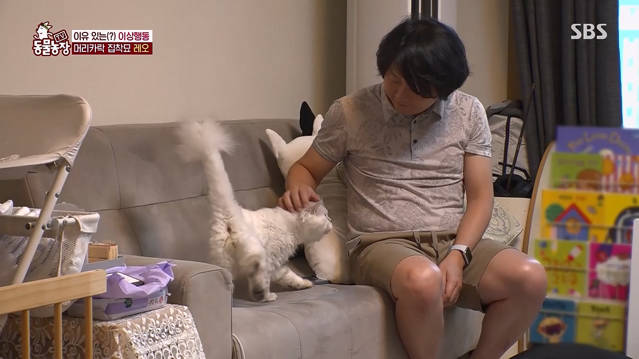 TV 동물농장 1189화 다시보기.ts_20240922_161941.037.jpg