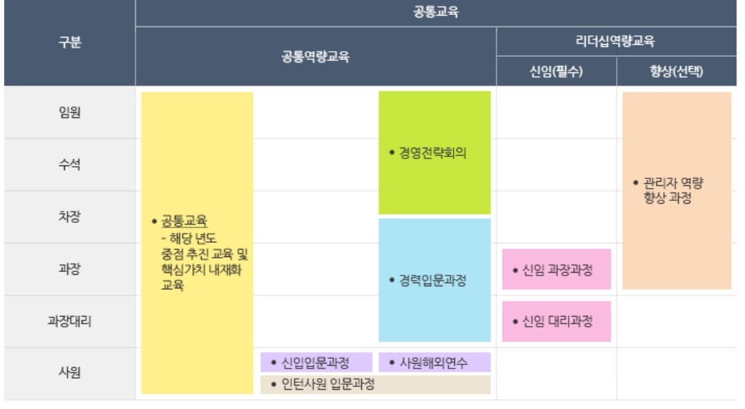 직급별 교육과정