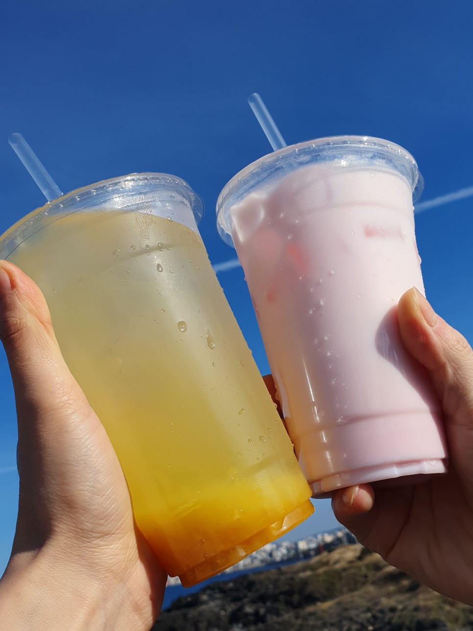 제주 전연령 렌트카 제주도 첫날 시작! 23