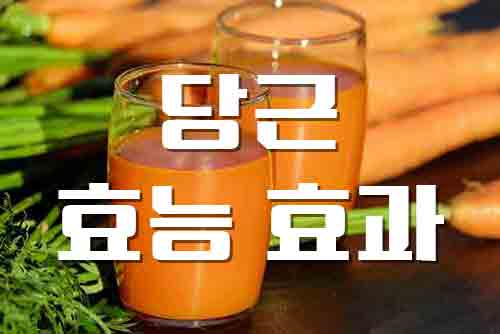 당근, 비타민의 왕 당근의 놀라운 효능