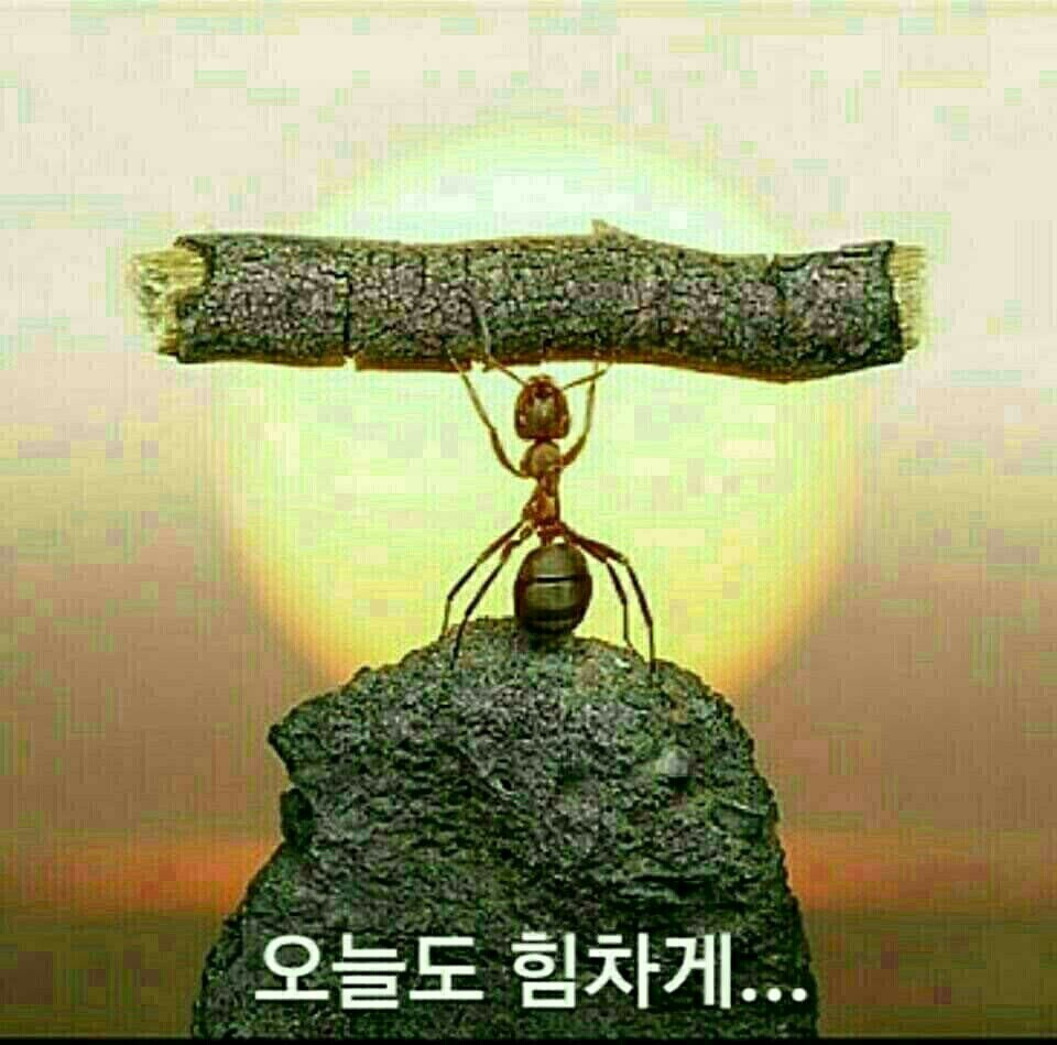  인향만리(人香萬里)