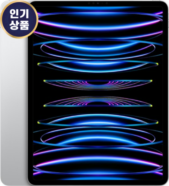  아이패드 12.9인치 제품 추천 구매정보 알아보기