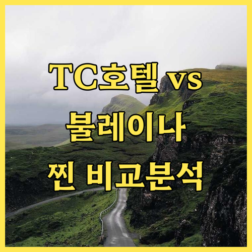 TC 호텔 도나 루이사 vs 불 레이