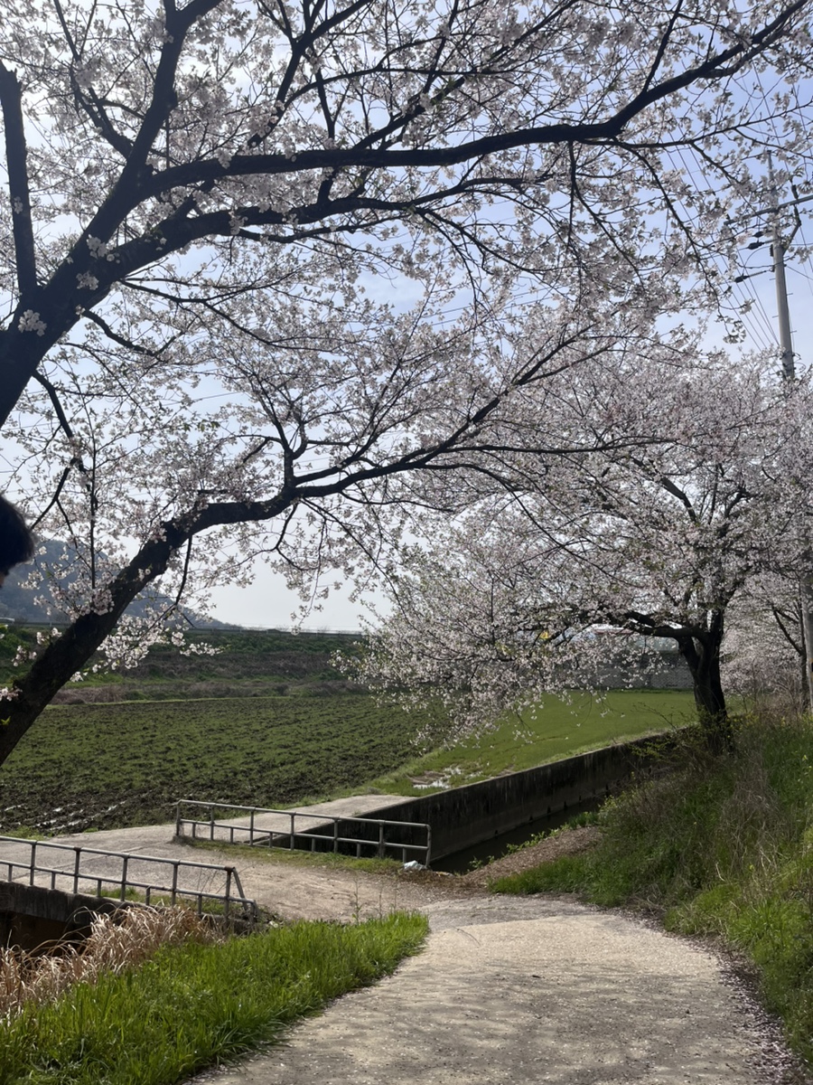 유명 이미지