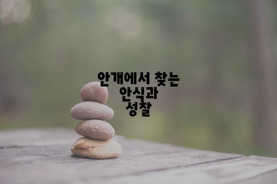 안개에서 찾는 안식과 성찰