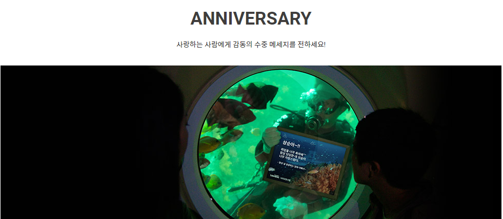  제주가족여행코스// 제주여행에 인기 액티비티 제주바다의 형형색색의 물고기 떼와 산호초, 해조류, 난파선을 보는 서귀포 잠수함