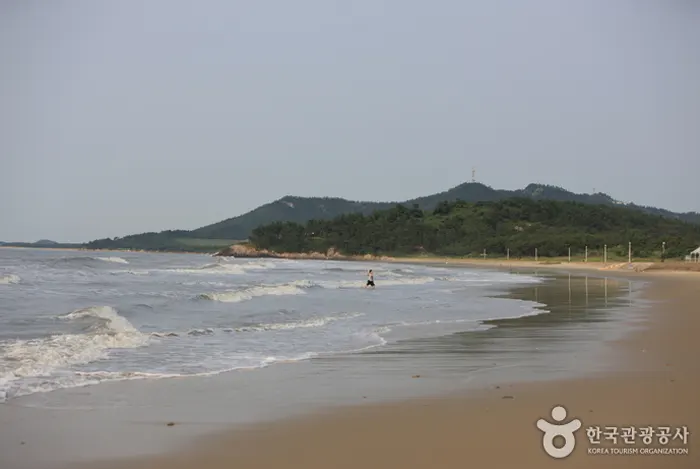 대광 해변 전경 이미지