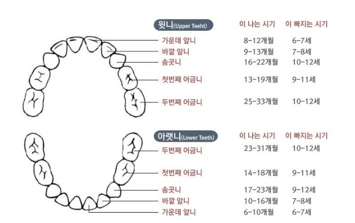 아기_이날때_특징_사진