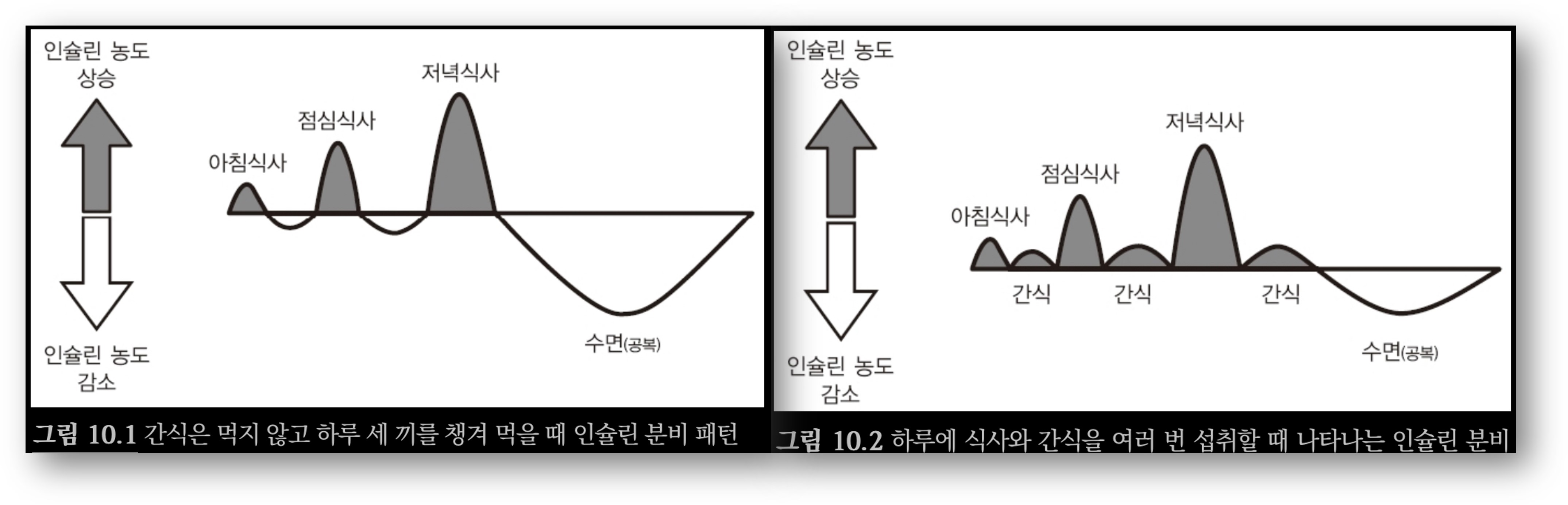 인슐린 농도가 계속 높아지는 이유