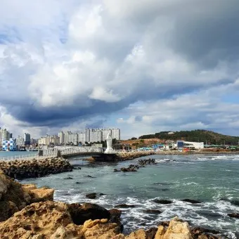 울산 가볼만한곳 베스트10 현지인 추천 필수코스_15