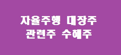 자율주행 대장주