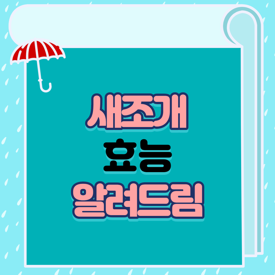  새조개 효능 알려드림