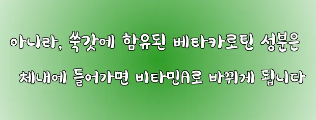 아니라, 쑥갓에 함유된 베타카로틴 성분은 체내에 들어가면 비타민A로 바뀌게 됩니다
