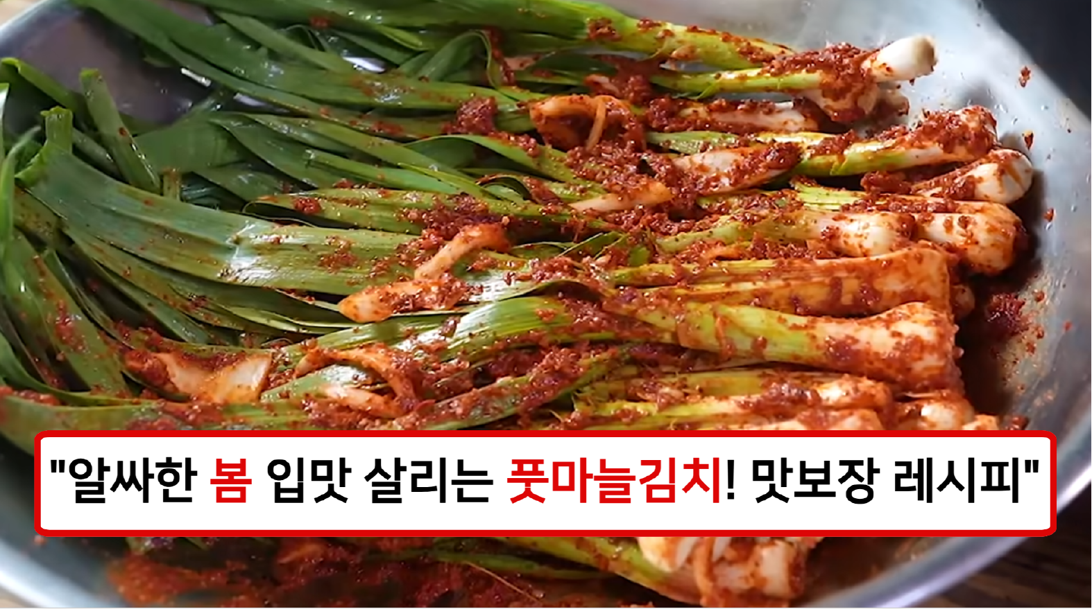 풋마늘김치 풋마늘김치