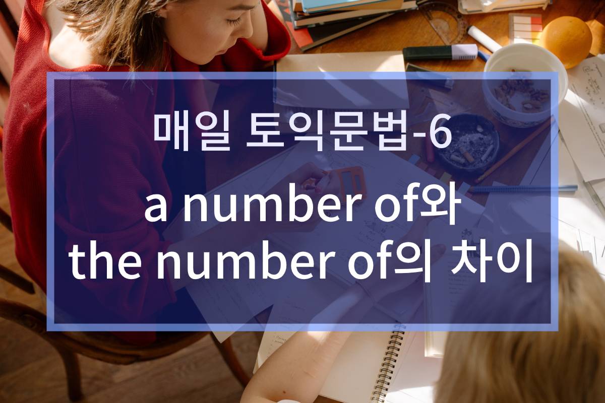  a number of와 the number of의 차이