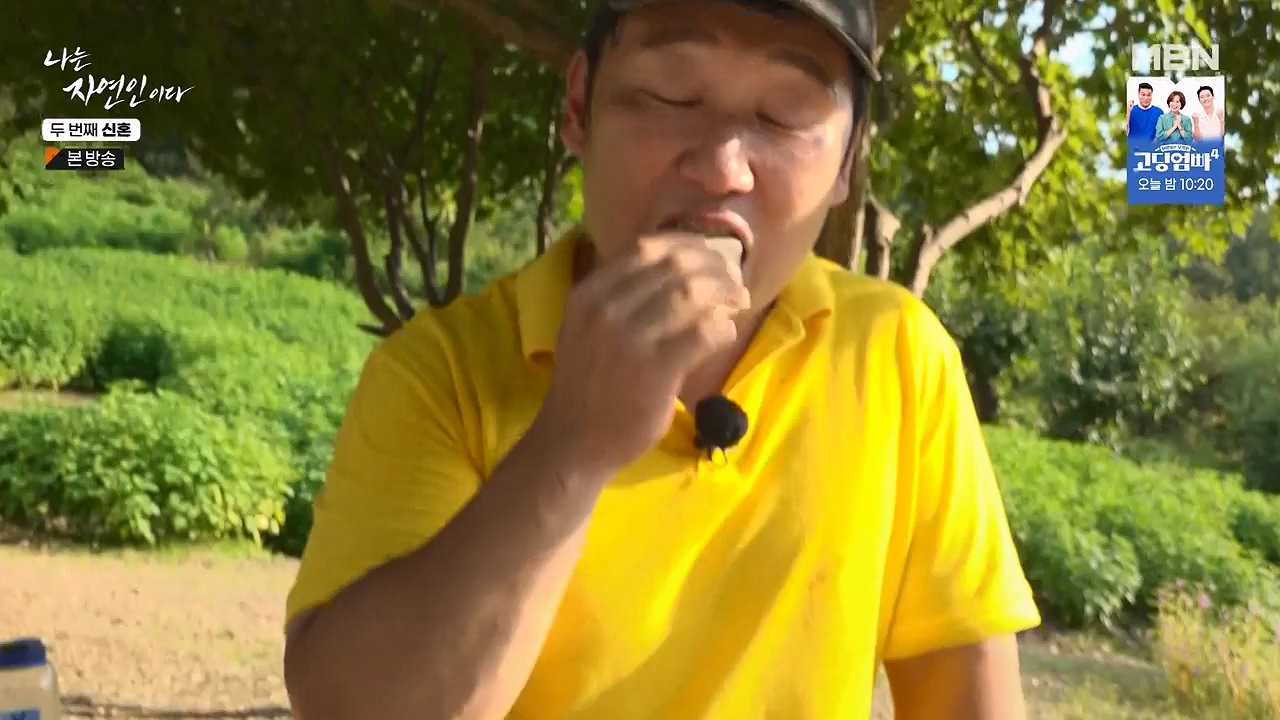 나는 자연인이다.E572.230921p-NEXT.mp4_20230921_202644.312.jpg